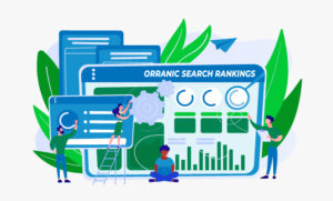 Organic Search Rankings